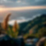 Investment Growth and Stability A serene landscape depicting growth and stability in investments