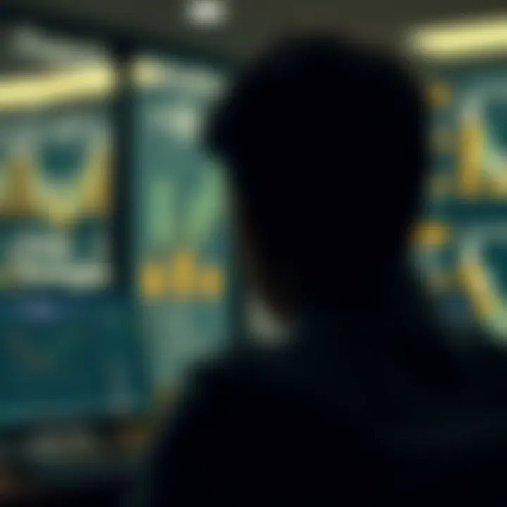 Infographic on strategies to minimize investment risk