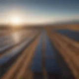 A solar farm harnessing sunlight on a vast landscape