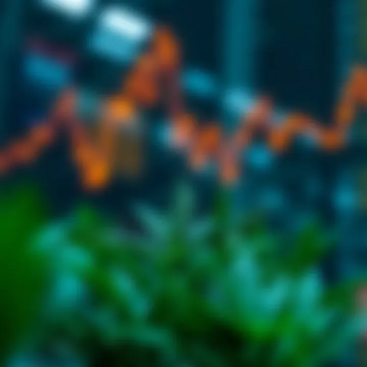 Future trends in CBD investment opportunities