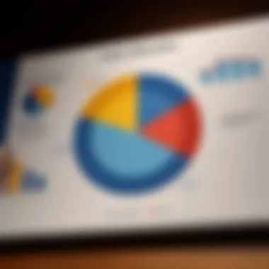 Pie chart showing the asset allocation of the Vanguard 500 Index Fund