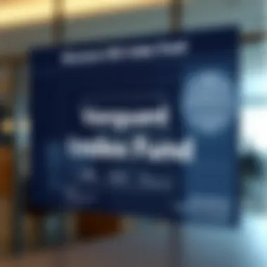 Infographic illustrating the structure of the Vanguard 500 Index Fund